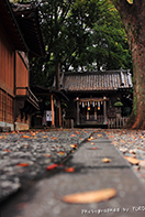 江古田　浅間神社